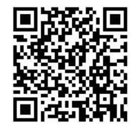 1606525715678815